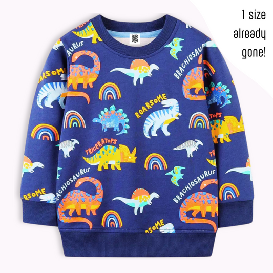 RAINBOW DINO JUMPER . Up to 8 Years